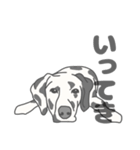 イヌたちのふせ！（個別スタンプ：19）