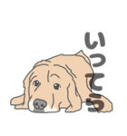 イヌたちのふせ！（個別スタンプ：20）