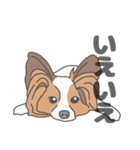 イヌたちのふせ！（個別スタンプ：22）