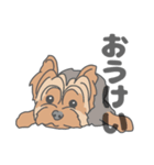 イヌたちのふせ！（個別スタンプ：24）
