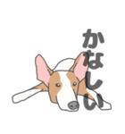 イヌたちのふせ！（個別スタンプ：26）