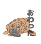 イヌたちのふせ！（個別スタンプ：28）