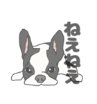 イヌたちのふせ！（個別スタンプ：29）