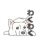 イヌたちのふせ！（個別スタンプ：30）