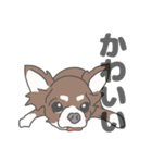 イヌたちのふせ！（個別スタンプ：31）