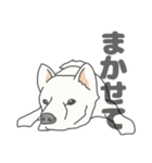 イヌたちのふせ！（個別スタンプ：32）