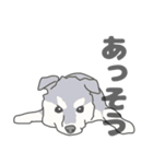 イヌたちのふせ！（個別スタンプ：33）