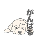 イヌたちのふせ！（個別スタンプ：35）