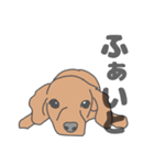 イヌたちのふせ！（個別スタンプ：36）