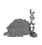 イヌたちのふせ！（個別スタンプ：38）