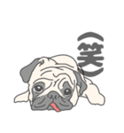 イヌたちのふせ！（個別スタンプ：40）