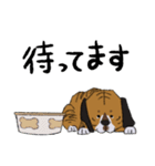 今日もぐだプロット（個別スタンプ：12）