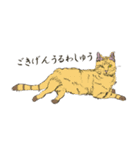 化け猫ちっくな猫（個別スタンプ：1）