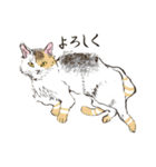 化け猫ちっくな猫（個別スタンプ：4）