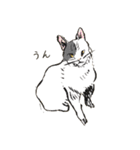 化け猫ちっくな猫（個別スタンプ：9）