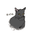 化け猫ちっくな猫（個別スタンプ：13）