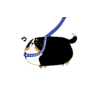 バーニーズ犬（個別スタンプ：8）