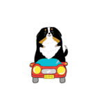 バーニーズ犬（個別スタンプ：9）