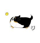バーニーズ犬（個別スタンプ：19）