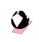 バーニーズ犬（個別スタンプ：20）
