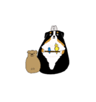 バーニーズ犬（個別スタンプ：24）