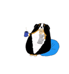 バーニーズ犬（個別スタンプ：25）