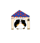 バーニーズ犬（個別スタンプ：31）