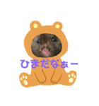 ハム友さん（個別スタンプ：3）