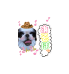 我が家のべる（個別スタンプ：4）