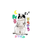我が家のべる（個別スタンプ：6）
