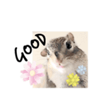 むぎぐらし あめこみ（個別スタンプ：3）