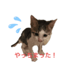 ももみ（個別スタンプ：2）