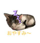ももみ（個別スタンプ：4）