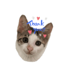 ももみ（個別スタンプ：5）