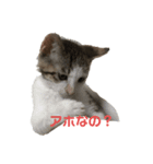ももみ（個別スタンプ：7）