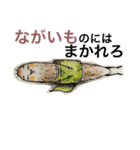 だじゃれ の 八百屋さん 3（個別スタンプ：19）