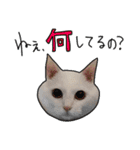 ハク様スタンプ第5弾（個別スタンプ：1）
