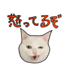 ハク様スタンプ第5弾（個別スタンプ：7）