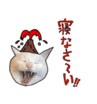 ハク様スタンプ第5弾（個別スタンプ：8）
