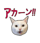 ハク様スタンプ第5弾（個別スタンプ：9）