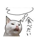 ハク様スタンプ第5弾（個別スタンプ：14）