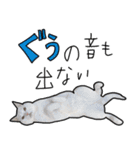 ハク様スタンプ第5弾（個別スタンプ：16）