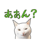 ハク様スタンプ第5弾（個別スタンプ：30）