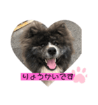 akitainu  ryuga（個別スタンプ：2）