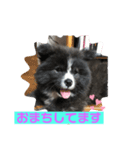 akitainu  ryuga（個別スタンプ：3）