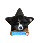 akitainu  ryuga（個別スタンプ：5）