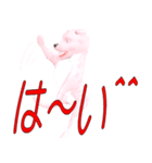 変な犬妙（個別スタンプ：10）