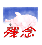 変な犬妙（個別スタンプ：11）
