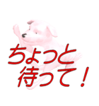 変な犬妙（個別スタンプ：19）