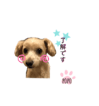 LEE POPO（個別スタンプ：7）